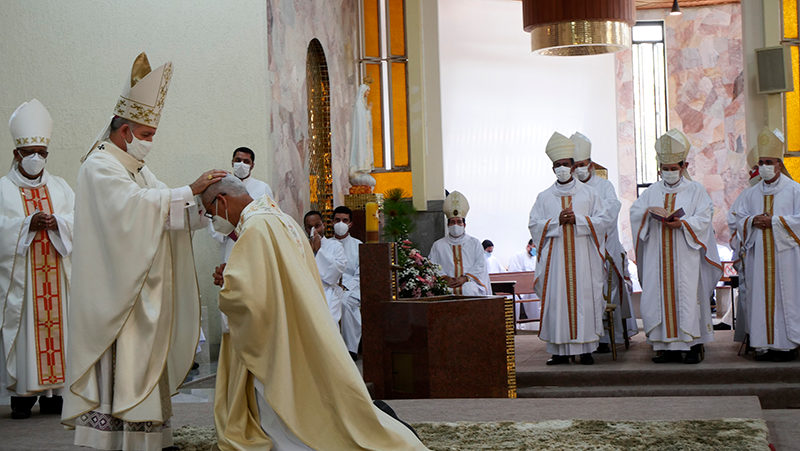 Paróquias e Comunidades à luz da “Lumen Gentium” - Arquidiocese de Vitória